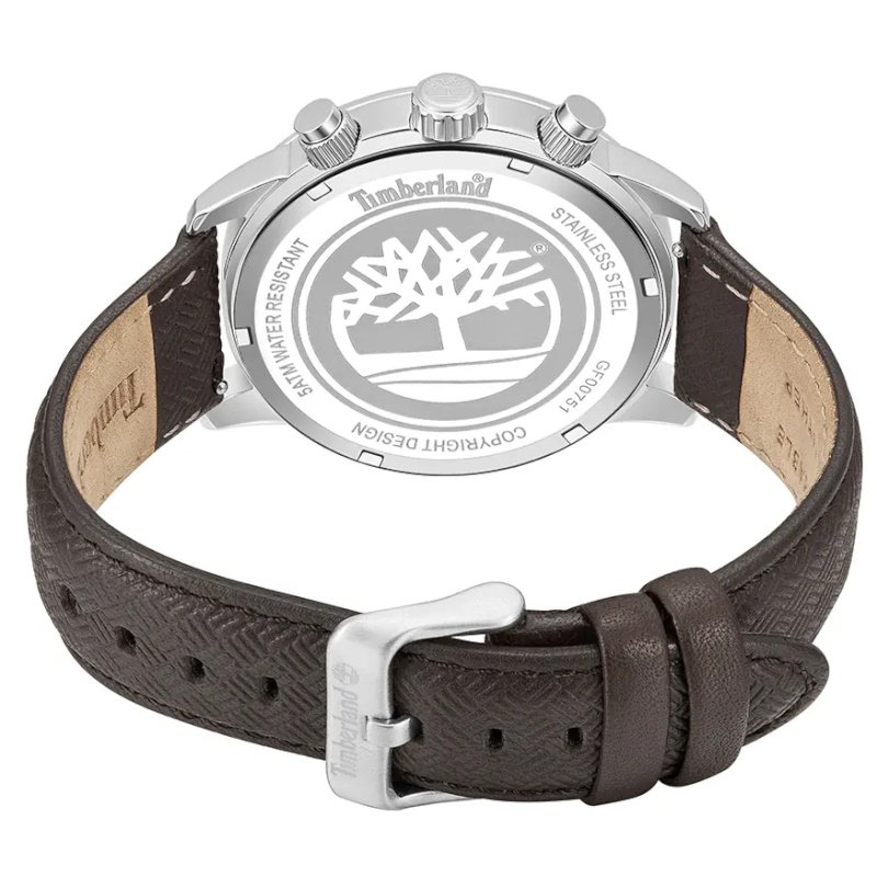 Мужские часы Timberland Raynham TDWGF0075103