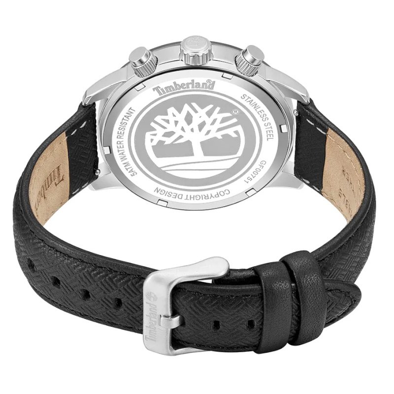 Мужские часы Timberland Raynham TDWGF0075101