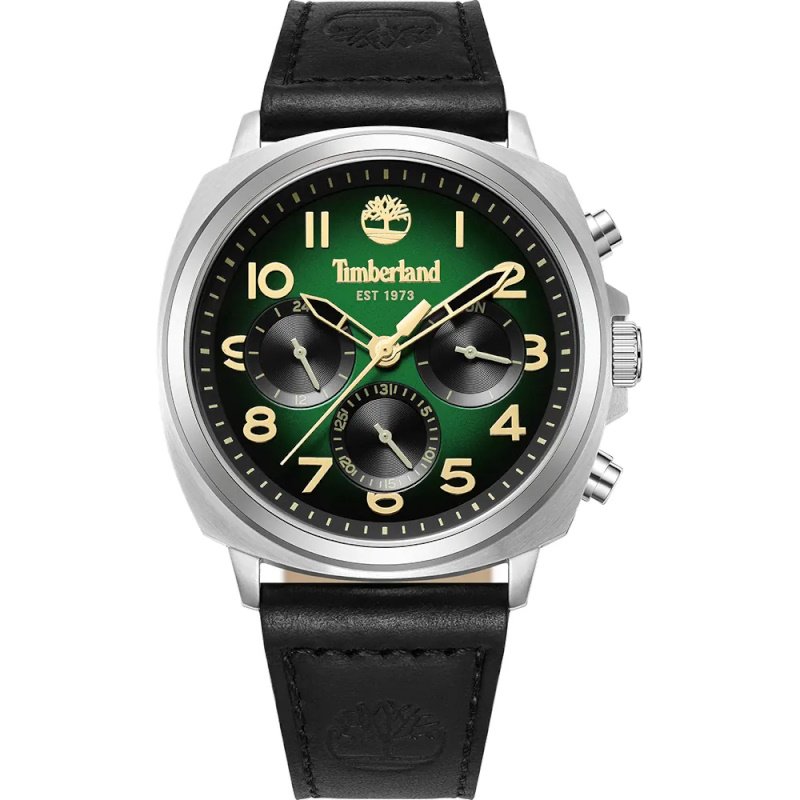 Мужские часы Timberland Williston-Small TDWGB0042008