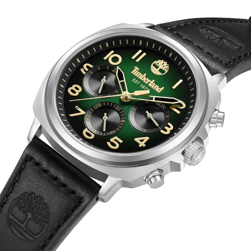 Мужские часы Timberland Williston-Small TDWGB0042008