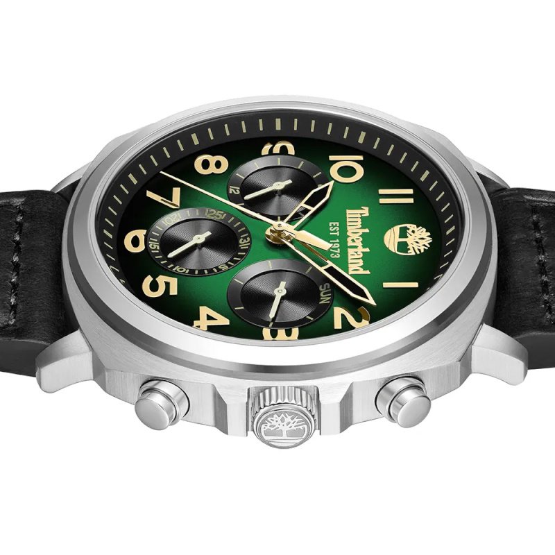 Мужские часы Timberland Williston-Small TDWGB0042008