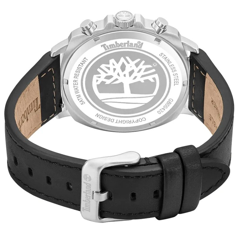 Мужские часы Timberland Williston-Small TDWGB0042008