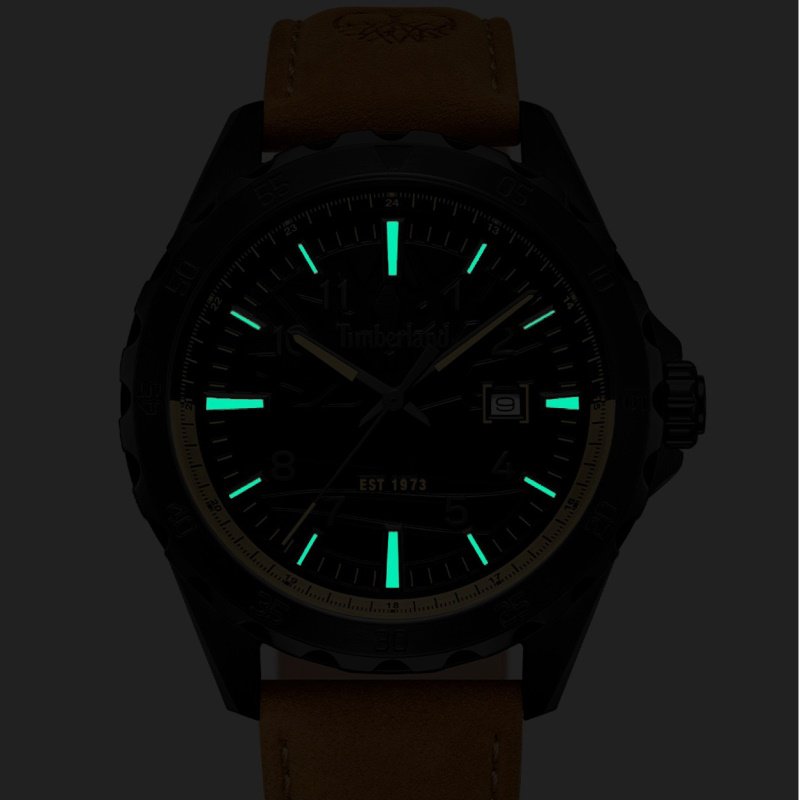 Мужские часы Timberland Day Pond TDWGB0055803