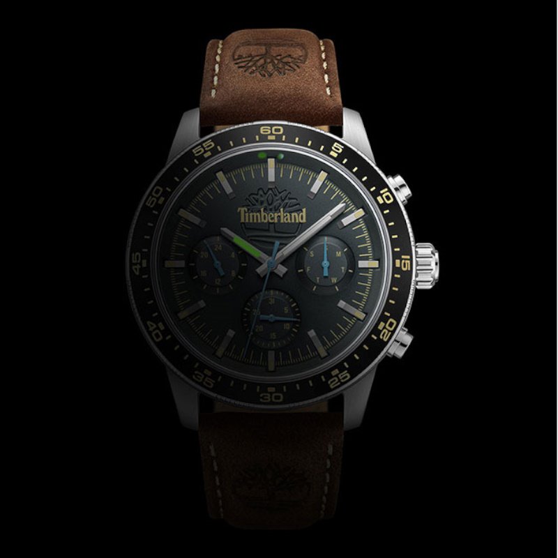 Мужские часы Timberland Parkmanh TDWGF0041301