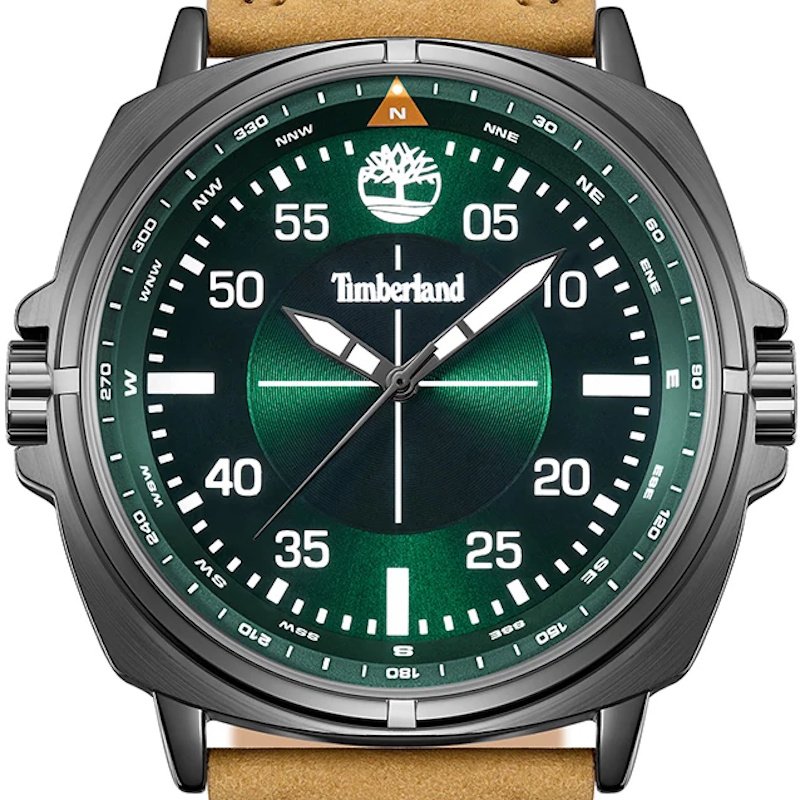 Men’s watch Timberland Williston TDWGA0095601