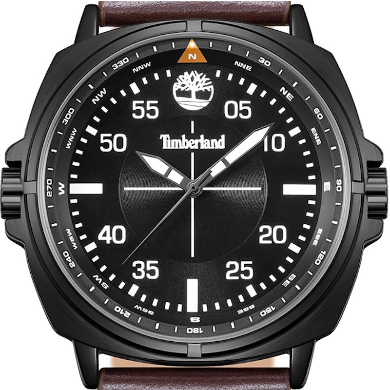 Men’s watch Timberland Williston TDWGA0095603